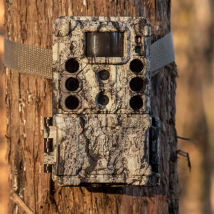 Wildlife Cameras